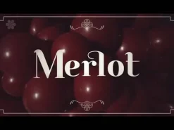 Balon lateksowy 18 cali Sempertex Solid 1 szt. Merlot