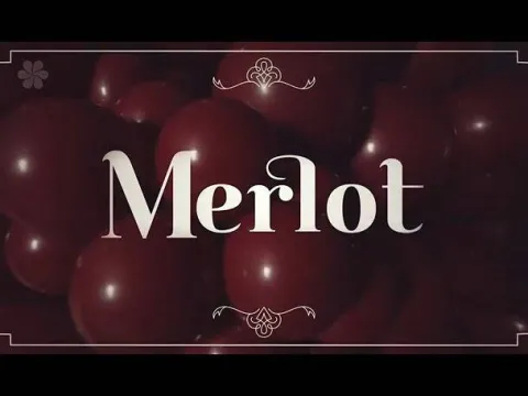 Balon lateksowy 18 cali Sempertex Solid 1 szt. Merlot