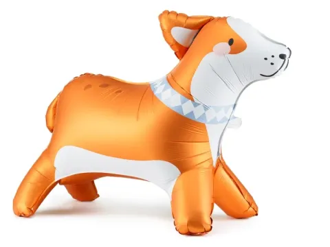 Balon foliowy stojący pies, piesek Corgi 88x70 cm + kartka