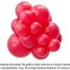 Balony lateksowe TUFTEX 11 cali kolor Red 100 szt.