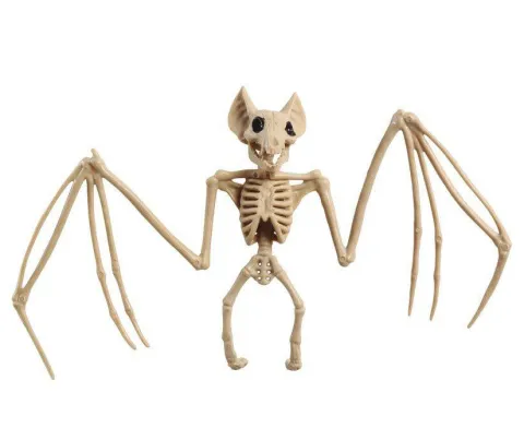 Dekoracja Szkielet nietoperza 30 cm