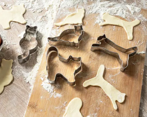 Foremki na ciastka KOTKI 4 szt. NOWE