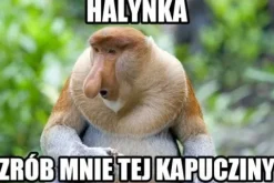 Maska "nosacz polski"