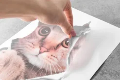 Naklejka KOT 3D