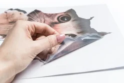 Naklejka KOT 3D