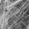 Pajęczyna biała z pająkami 60g Halloween
