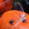 Pająki plastikowe czarne 3 cm 10 szt.