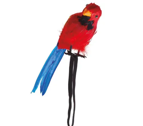 Papuga pirata na ramię 30 cm rekwizyt