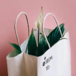 Pieczątka samotuszująca Little NIO - craft