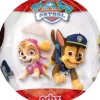 Psi patrol Skye i Everest kula ORBZ balon foliowy Anagram 16''