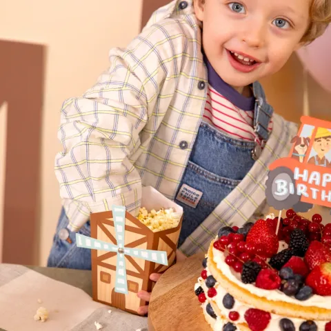 Pudełka na przekąski Popcorn Wiatrak Farma 6 szt.