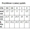 Renesans pędzel syntetyczny Okrągły Literniczy seria 1010RL