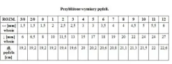 Renesans pędzel syntetyczny Okrągły 1006R rozm. 12
