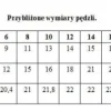 Renesans pędzel syntetyczny Język Kota seria 1006FR