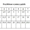 Renesans pędzel syntetyczny Okrągły 1006R rozm. 8