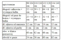 Strój dla dziewczynki Myszka Minnie