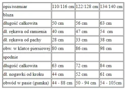 Strój ŻOŁNIERZ