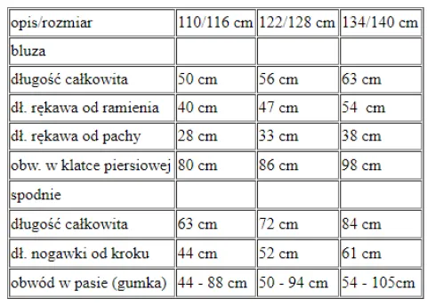 Strój ŻOŁNIERZ